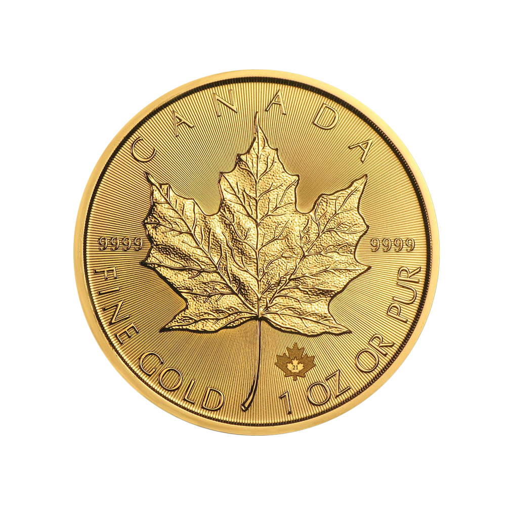 트레이드 아크(TRADE ARK)